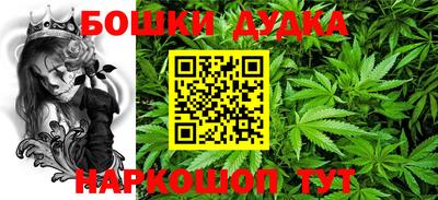 дживик Новодвинск