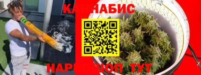 индика Новозыбков