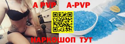 индика Новозыбков