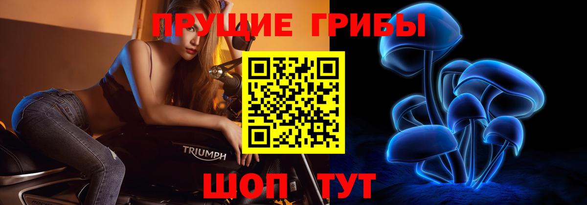 Псилоцибиновые грибы Psilocybe Алексин