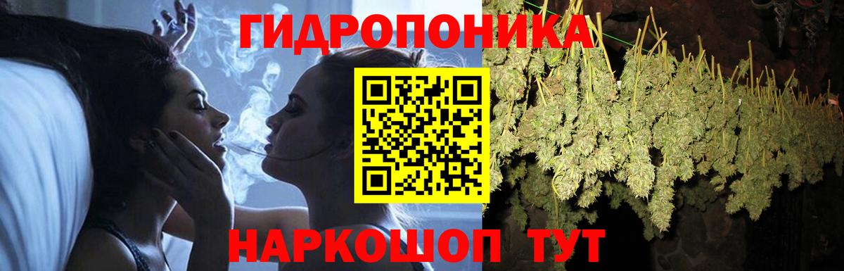 Алексин  Бошки Шишки ГИДРОПОН  Конопля White Widow  Вход с VPN  Марихуана Bruce Banner 